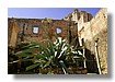 RafaelCoronel1-1024_1.jpg