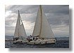 Regata 4-11-06.jpg
