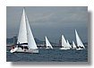 Regata 4-11-06_1.jpg