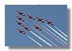 Reds 1.jpg