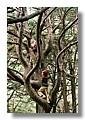 TERABITHIA_002.jpg