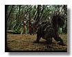 TERABITHIA_007.jpg