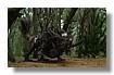 TERABITHIA_011.jpg