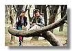 TERABITHIA_015.jpg