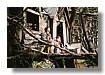 TERABITHIA_032.jpg