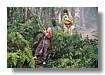 TERABITHIA_033.jpg