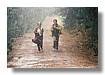 TERABITHIA_039.jpg