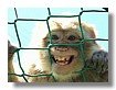 mascotas_19.jpg