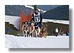 IMG_4690.jpg