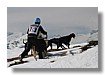 IMG_4917.jpg