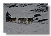 IMG_5004.jpg