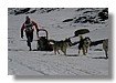 IMG_5014.jpg
