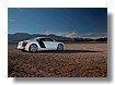 R8070064_large[1].jpg