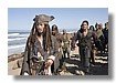Piratas_caribe3_rgb039.jpg