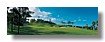GO01-Golf-b.jpg