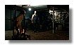 0159.jpg