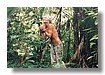turistas_film_018.jpg