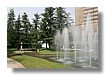 IMG_8193.jpg