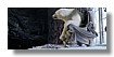 gc_still_frames_4k.000007.jpg