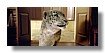 gc_still_frames_4k.000023.jpg