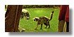 gc_still_frames_4k.000043.jpg