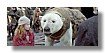 gc_still_frames_4k.000121.jpg