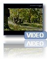 luz_de_domingo_trailer_5mb_copy.jpg