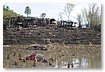 125_21.jpg