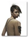 :: Pulse para Ampliar :: Llongueras Estilo "Fusion Out Look" 2008