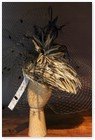 :: Pulse para Ampliar :: Exposición de la colección exclusiva para Gratacos de "Foulards 144" únicos: sombrero :: Pulse para Ampliar :: Exposición de la colección exclusiva para Gratacos de "Foulards 144" únicos: sombrero