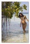 :: Pulse para Ampliar :: NIZUC: UN EXCLUSIVO ENCLAVE-JOYA EN LA RIVIERA MAYA A MEDIDA DE LOS NEO-SIBARITAS :: Pulse para Ampliar :: NIZUC: UN EXCLUSIVO ENCLAVE-JOYA EN LA RIVIERA MAYA A MEDIDA DE LOS NEO-SIBARITAS