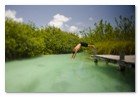 :: Pulse para Ampliar :: NIZUC: UN EXCLUSIVO ENCLAVE-JOYA EN LA RIVIERA MAYA A MEDIDA DE LOS NEO-SIBARITAS :: Pulse para Ampliar :: NIZUC: UN EXCLUSIVO ENCLAVE-JOYA EN LA RIVIERA MAYA A MEDIDA DE LOS NEO-SIBARITAS