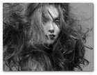 :: Pulse para Ampliar :: Tendencias Le Salon OT-INV 2008/09. Cabellos en Libertad. "MUSA" La melena con volumen y ondas muy discretas, da un aspecto de cabellera al viento muy natural, perfecta para looks informales. El efecto es de una melena abundante y etérea con un toque retro que la hace terriblemente moderna.