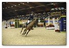 :: Pulse para Ampliar :: XVII edición del CSI 5* de A Coruña en el Centro Hípico Casas Novas: Athina Onassis