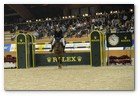 :: Pulse para Ampliar :: XVII edición del CSI 5* de A Coruña en el Centro Hípico Casas Novas: Athina Onassis