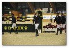 :: Pulse para Ampliar :: XVII edición del CSI 5* de A Coruña en el Centro Hípico Casas Novas: Athina Onassis