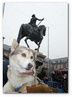 :: Pulse para Ampliar :: El alcalde de Madrid, Alberto Ruiz Gallardón, da la bienvenida a Pirena y saluda a los perros de la gran ruta blanca del Pirineo