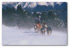 :: Pulse para Ampliar :: SE PRESENTA EN MADRID LA PIRENA CON MáS NIEVE Y MAYOR NIVEL DEPORTIVO DE LOS úLTIMOS DIEZ AñOS
