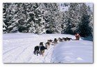 :: Pulse para Ampliar :: SE PRESENTA EN MADRID LA PIRENA CON MáS NIEVE Y MAYOR NIVEL DEPORTIVO DE LOS úLTIMOS DIEZ AñOS