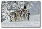 :: Pulse para Ampliar :: SE PRESENTA EN MADRID LA PIRENA CON MáS NIEVE Y MAYOR NIVEL DEPORTIVO DE LOS úLTIMOS DIEZ AñOS