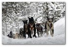 :: Pulse para Ampliar :: SE PRESENTA EN MADRID LA PIRENA CON MáS NIEVE Y MAYOR NIVEL DEPORTIVO DE LOS úLTIMOS DIEZ AñOS