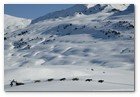 :: Pulse para Ampliar :: SE PRESENTA EN MADRID LA PIRENA CON MáS NIEVE Y MAYOR NIVEL DEPORTIVO DE LOS úLTIMOS DIEZ AñOS