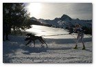 :: Pulse para Ampliar :: SE PRESENTA EN MADRID LA PIRENA CON MáS NIEVE Y MAYOR NIVEL DEPORTIVO DE LOS úLTIMOS DIEZ AñOS