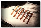 :: Pulse para Ampliar :: FRIDAY`S PROJECT PRESENTA LA PRIMERA COLECCIóN DE CAMISETAS "MUSIC & FAHION"
Amaya Arzuaga
La más internacional de nuestras diseñadoras, como siempre a la última, ha diseñado esta camiseta con diseño de Jarvis