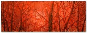 :: Pulse para Ampliar :: Obra de Javier Velasco: Bosque en rojo, realizado con mercromina.