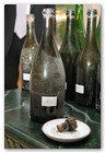 :: Pulse para Ampliar :: Cata privada en la boutique del Champagne Maison Perrier-Jouet de las cosechas históricas de Perrier-Jouet.
el champán más antiguo del mundo: el Perrier-Jouet Vintage 1825.