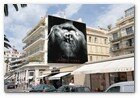 :: Pulse para Ampliar :: "The Expendables" Promoción en Cannes