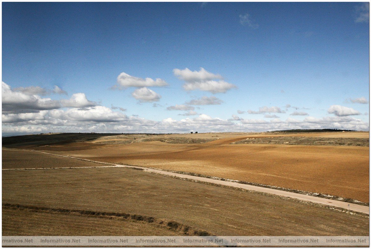 ESPA�A A LA CABEZA DE EUROPA EN SUPERFICIE DE AGRICULTURA ECOL�GICA