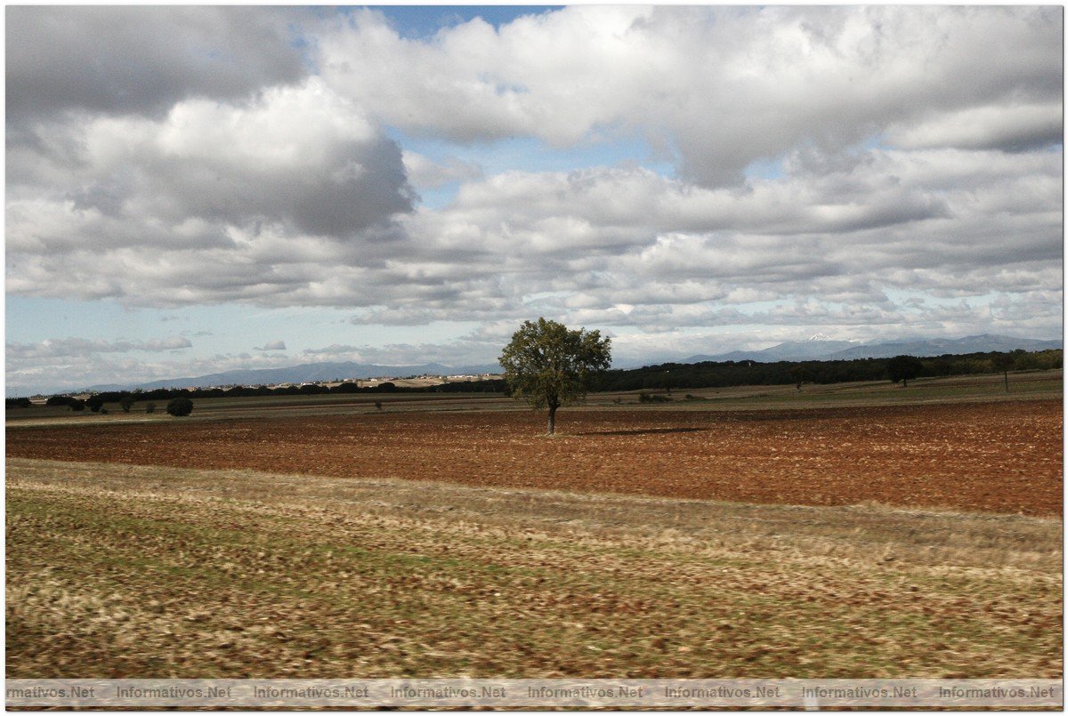 ESPA�A A LA CABEZA DE EUROPA EN SUPERFICIE DE AGRICULTURA ECOL�GICA
