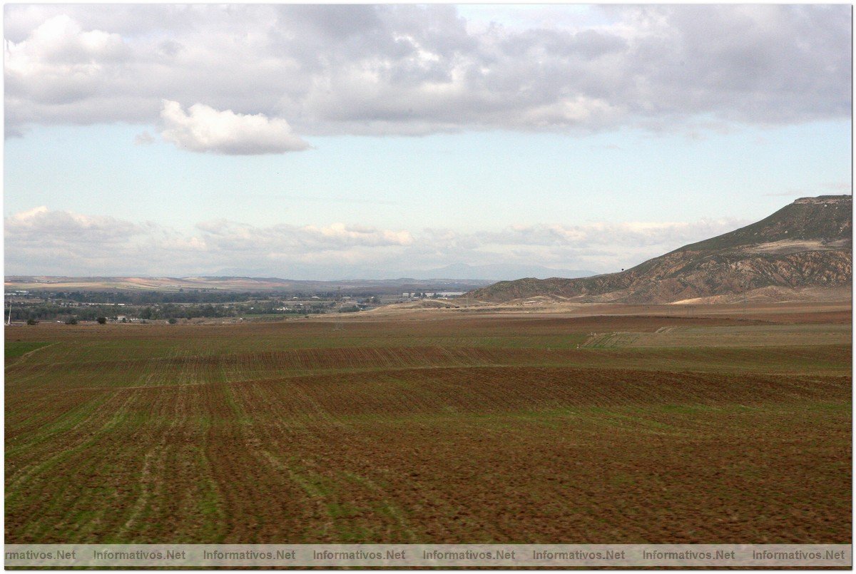 ESPA�A A LA CABEZA DE EUROPA EN SUPERFICIE DE AGRICULTURA ECOL�GICA